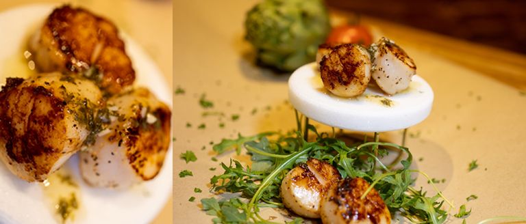 scallops
